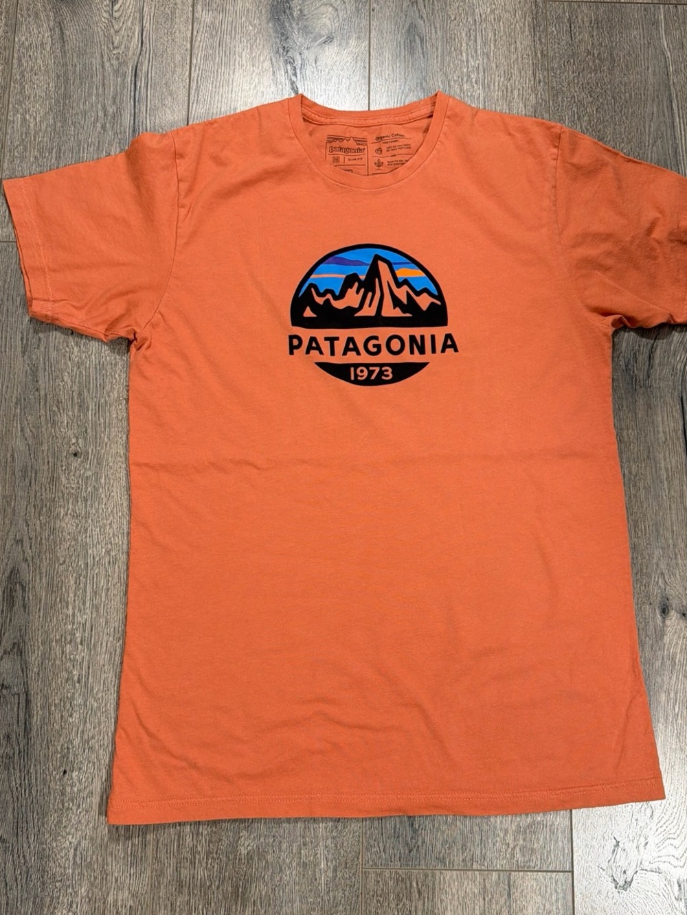 Patagonia Orange Short-Sleeve Mountain Logo Tee